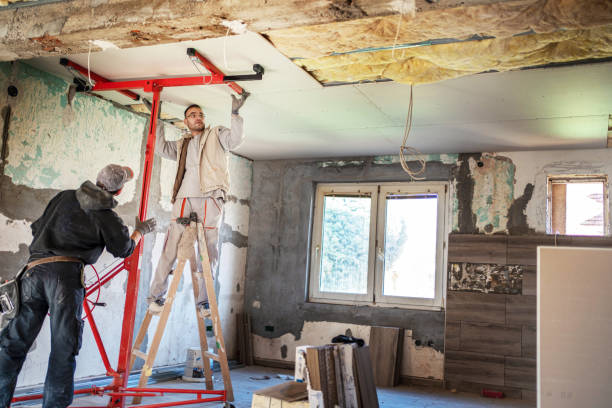 Best Eco-Friendly Insulation in Harrisville, PA